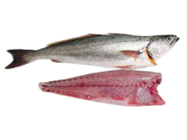 Fresh Whole Cape Salmon
