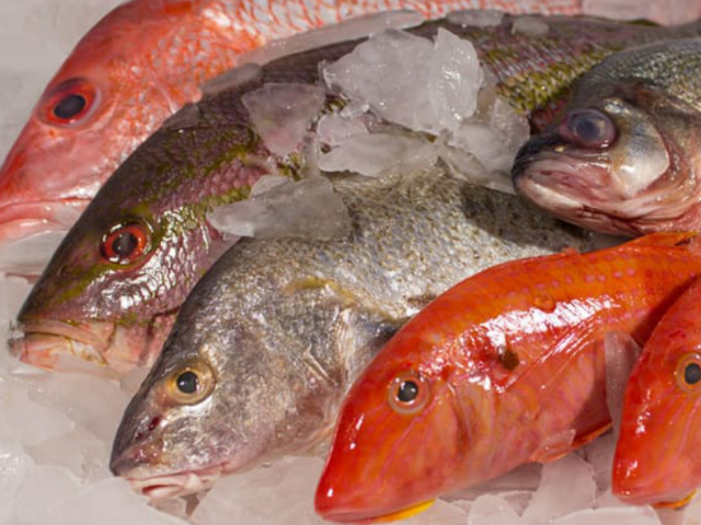 Fresh Whole Line Fish